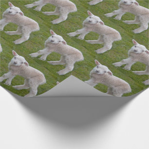 Sjabloon voor Little Lamb-verpakkingen Cadeaupapier