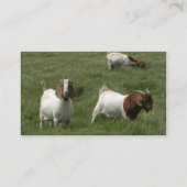 Sjabloon voor visitekaartjes (Achterkant)