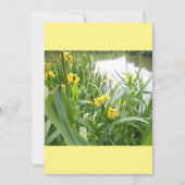 Sjabloon  weddenschappen kaart (Voorkant)