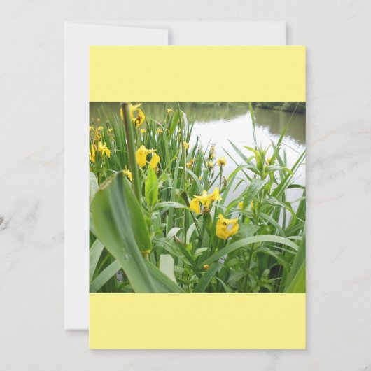 Sjabloon  weddenschappen kaart (Voorkant)