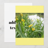 Sjabloon  weddenschappen kaart (Voorkant / Achterkant)