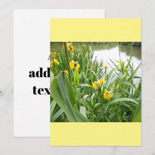 Sjabloon  weddenschappen kaart (Voorkant / Achterkant)