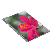 Sjanghai Schoonheid Notitieboek (Rechterzijde)