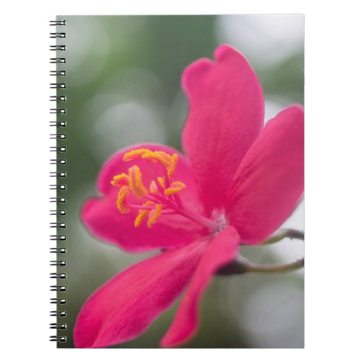 Sjanghai Schoonheid Notitieboek (Voorkant)
