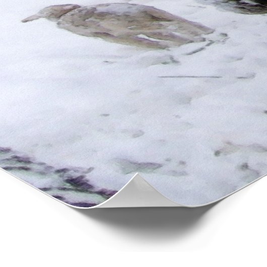 Sjeep in april sneeuw poster (Hoek)