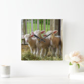 Sjeep Lambs Square Clock Vierkante Klok (Huis)