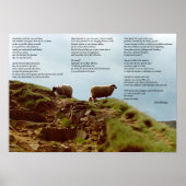 Sjeep zwijgend over Mountain Desiderata Poster (Voorkant)
