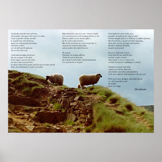 Sjeep zwijgend over Mountain Desiderata Poster (Voorkant)