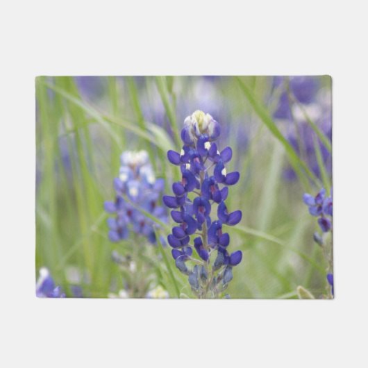 SJefferson Texas Bluebonnets Series #1 Deurmat (Voorkant)