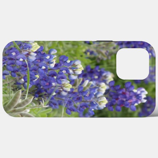 SJefferson Texas Bluebonnets Series #2 Case-Mate iPhone Case (Achterkant (horizontaal))