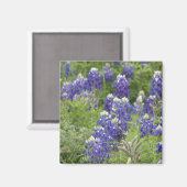 SJefferson Texas Bluebonnets Series #2 Magneet (Voorkant / Achterkant)
