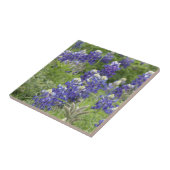 SJefferson Texas Bluebonnets Series #2 Tegeltje (Zijkant)