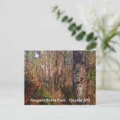 Sjepard State Park Trail Sign Briefkaart (Staand voorkant)