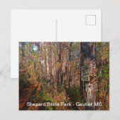 Sjepard State Park Trail Sign Briefkaart (Voorkant / Achterkant)