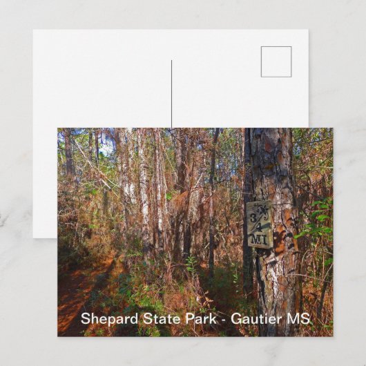 Sjepard State Park Trail Sign Briefkaart (Voorkant / Achterkant)