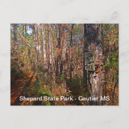 Sjepard State Park Trail Sign Briefkaart