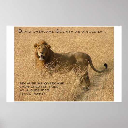 Sjepherd-aanmoediging Poster (Voorkant)