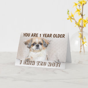 Sjieke verjaardag 1 jaar ouder kaart