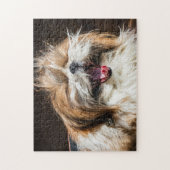 sjiitische tzu die lacht om grappig schattig legpuzzel (Verticaal)