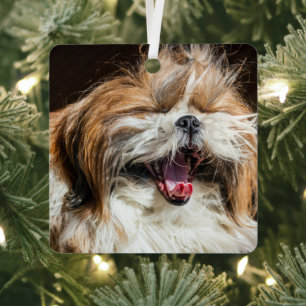 sjiitische tzu die lacht om grappig schattig metalen ornament