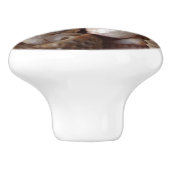 Sjoppen, schelpdieren, kasten, kastelen, schelpen, keramische knop (Zijkant)