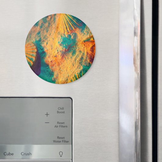 Sjoppen, schelpdieren, kasten, kastelen, schelpen, magneet (Insitu (Koelkast))