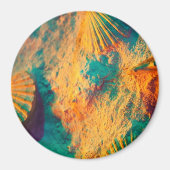 Sjoppen, schelpdieren, kasten, kastelen, schelpen, magneet (Voorkant)