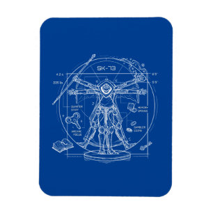 SK-73 Magnet Magneet