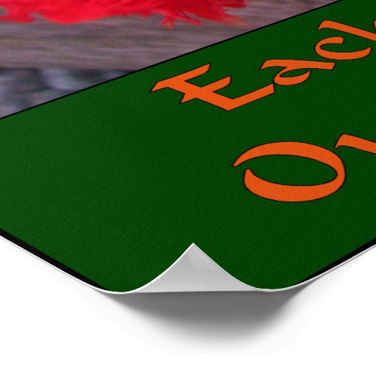 Skagit Valley Tulip Festival Poster (Hoek)