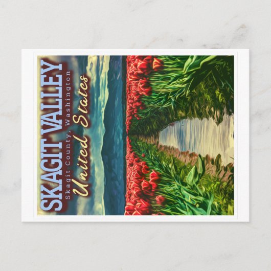 SKAGIT VALLEY - TULIP FIELDS - SKAGIT WASHINGTON BRIEFKAART (Voorkant)