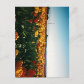 skagit valley tulips briefkaart (Voorkant)