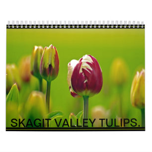 SKAGIT VALLEY TULIPS. KALENDER
