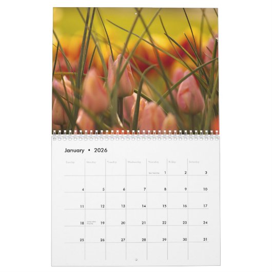 SKAGIT VALLEY TULIPS. KALENDER (Jan 2026)