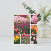 Skagit Valley, WA tulpen briefkaart collage (Staand voorkant)