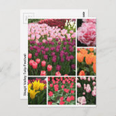 Skagit Valley, WA tulpen briefkaart collage (Voorkant / Achterkant)