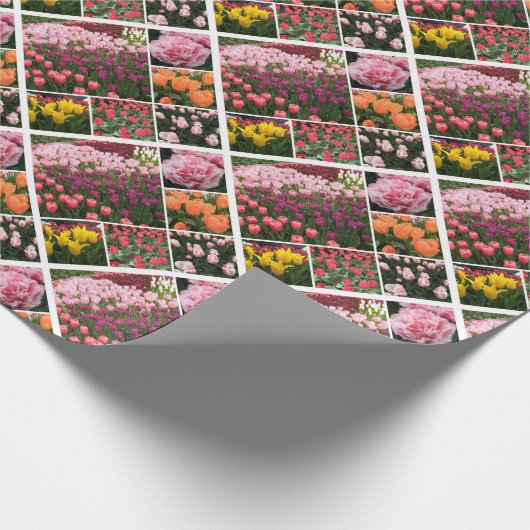 Skagit Valley, WA-tulpen cadeau inpakpapier (Hoek)