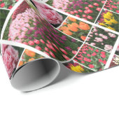 Skagit Valley, WA-tulpen cadeau inpakpapier (Rol Hoek)