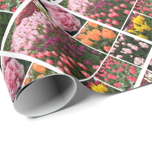 Skagit Valley, WA-tulpen cadeau inpakpapier (Rol Hoek)