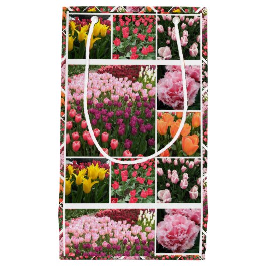Skagit Valley, WA tulpen cadeau terug Klein Cadeauzakje (Voorkant)