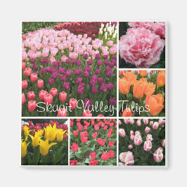 Skagit Valley, WA tulpen magnet