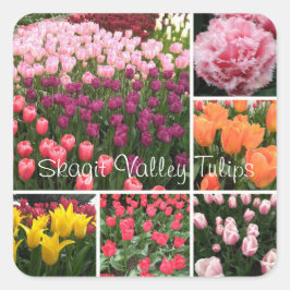 Skagit Valley, WA tulpen sticker collage