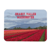 Skagit Valley Washington State Tulpveld Koelkastma