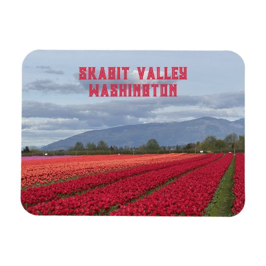 Skagit Valley Washington State Tulpveld Koelkastma Magneet (Horizontaal)