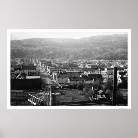 Skagway, Alaska Birdseye 1915 Poster (Voorkant)