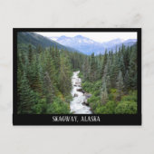 Skagway Alaskaberglandschap Briefkaart (Voorkant)