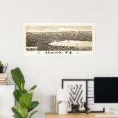 Skaneateles New York 1884 Antiek Panorama Poster (Thuiskantoor)