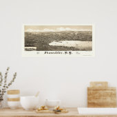 Skaneateles, NY Panoramic Map - 1884 Poster (Keuken)