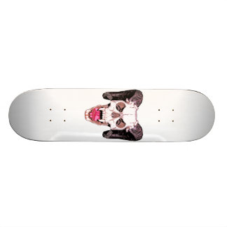 Skateboard