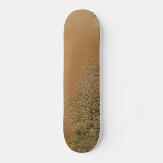 Skateboard (Voorkant)