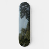 Skateboard (Voorkant)